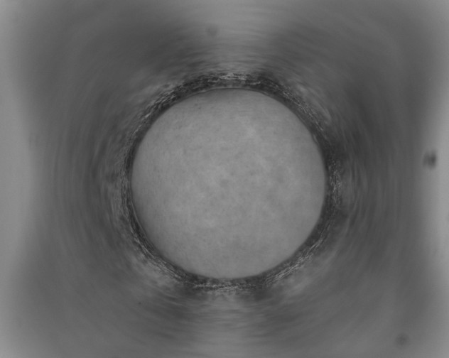 X0000091230769200708161716