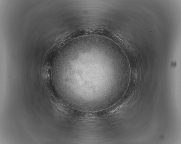 X0000091230770200708161716