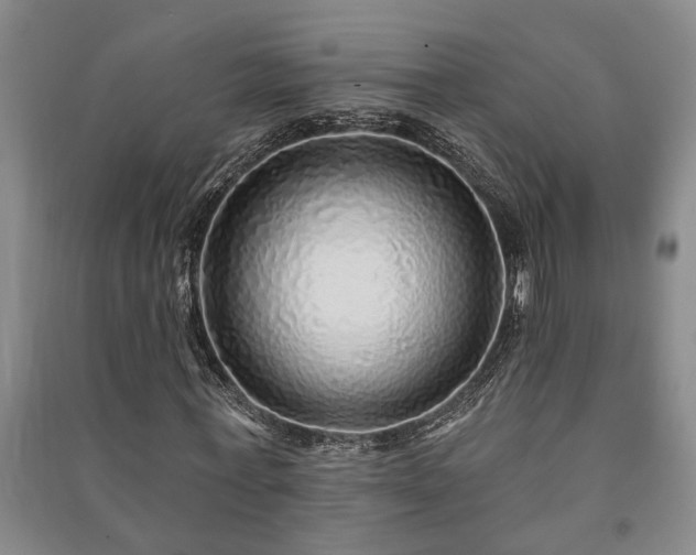 X0000091230771200708161716