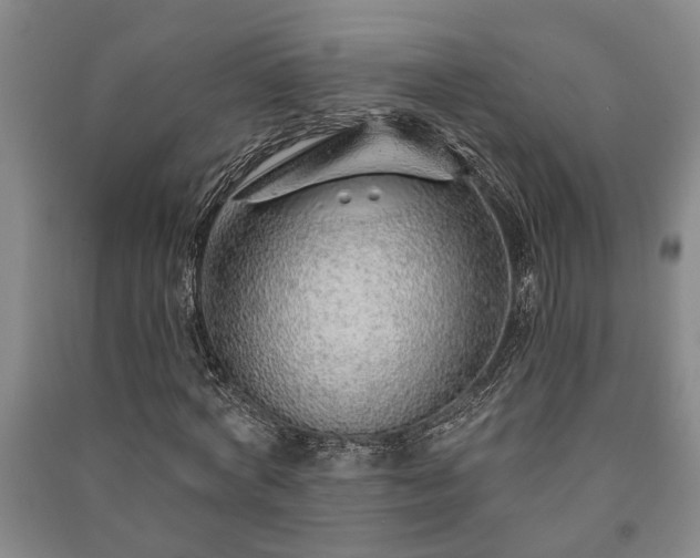 X0000091230772200708161716