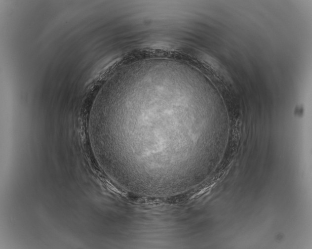 X0000091230774200708161716