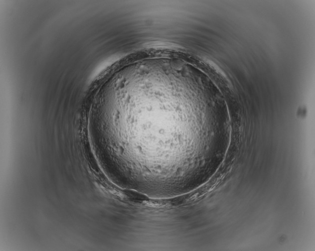 X0000091230775200708161716