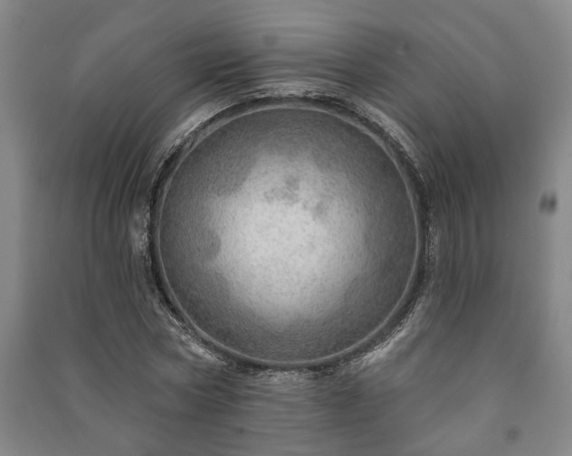 X0000091230778200708161716