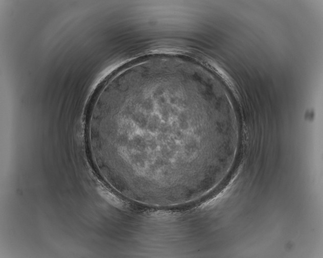 X0000091230779200708161716