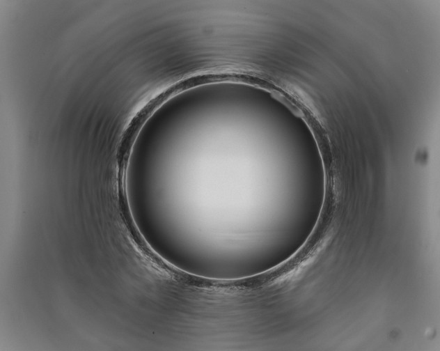 X0000091230781200708161716