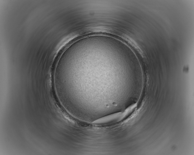 X0000091230782200708161716