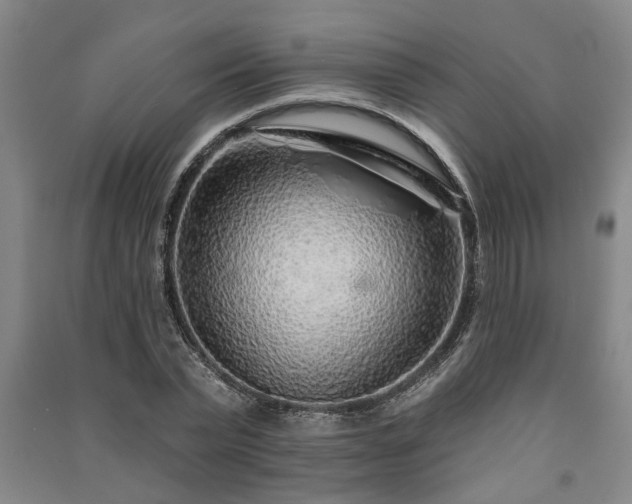 X0000091230783200708161716