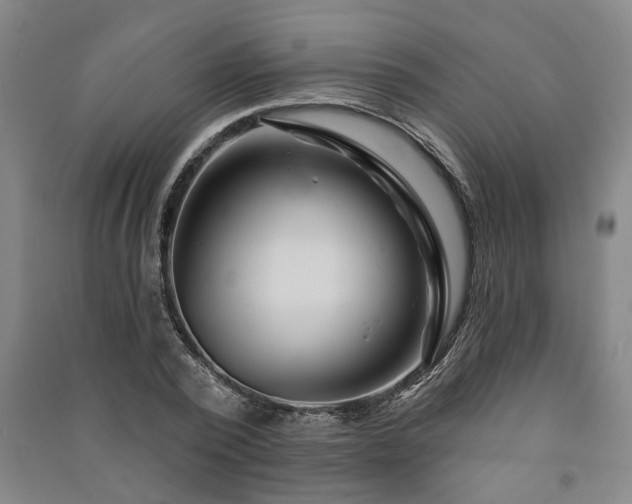 X0000091230784200708161716