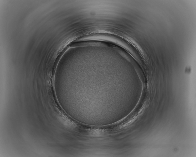 X0000091230785200708161716