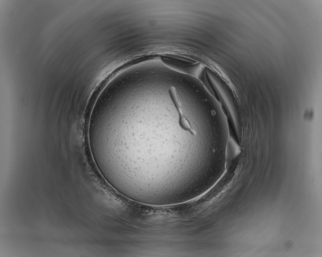 X0000091230786200708161716
