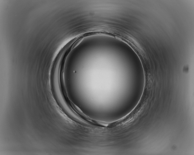 X0000091230788200708161715
