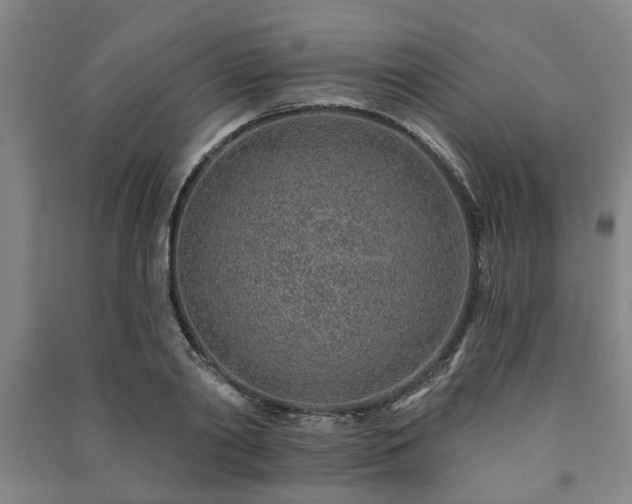 X0000091230790200708161715