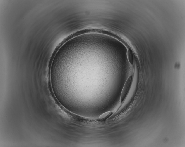 X0000091230791200708161715