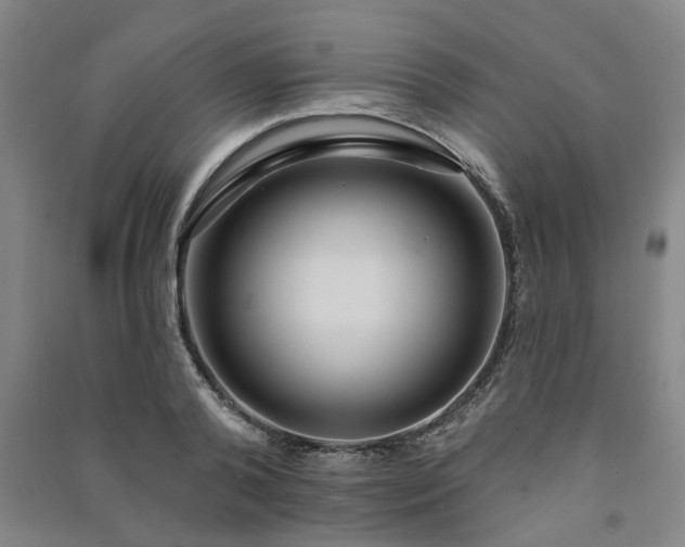 X0000091230792200708161715
