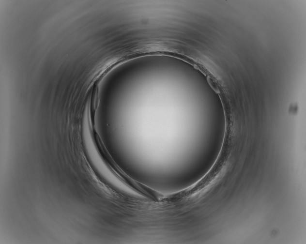 X0000091230793200708161715