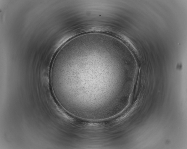 X0000091230794200708161715