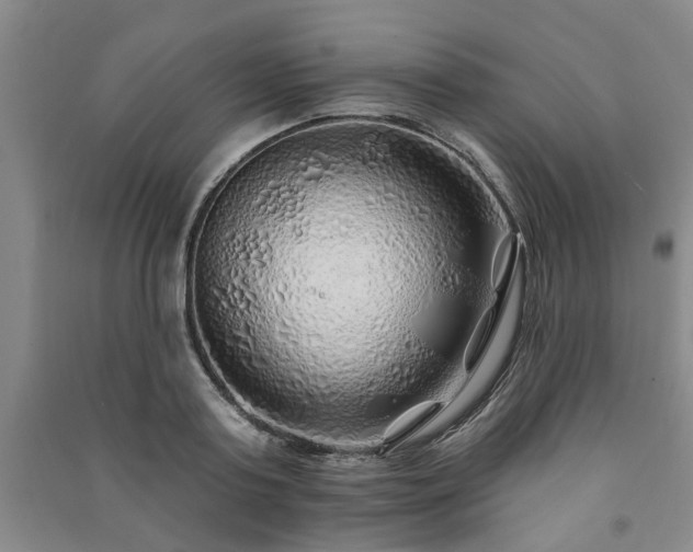 X0000091230795200708161715