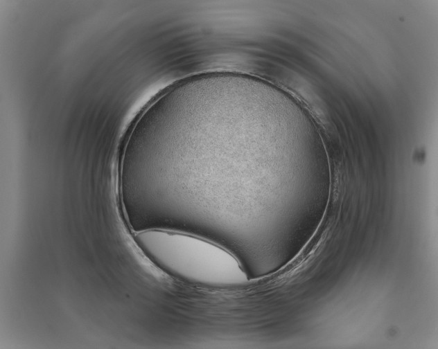 X0000091230796200708161715