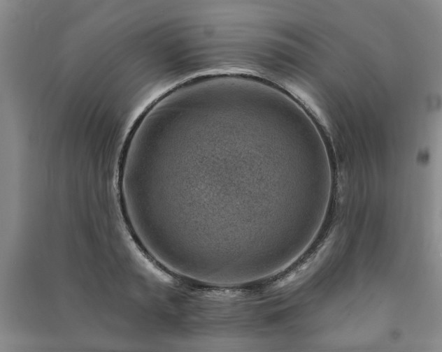 X0000091230797200708161715