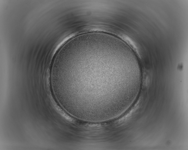 X0000091230798200708161715