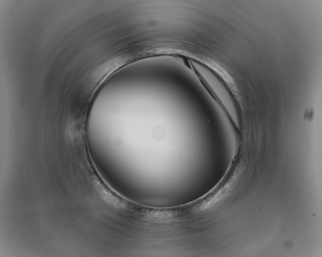 X0000091230801200708161715