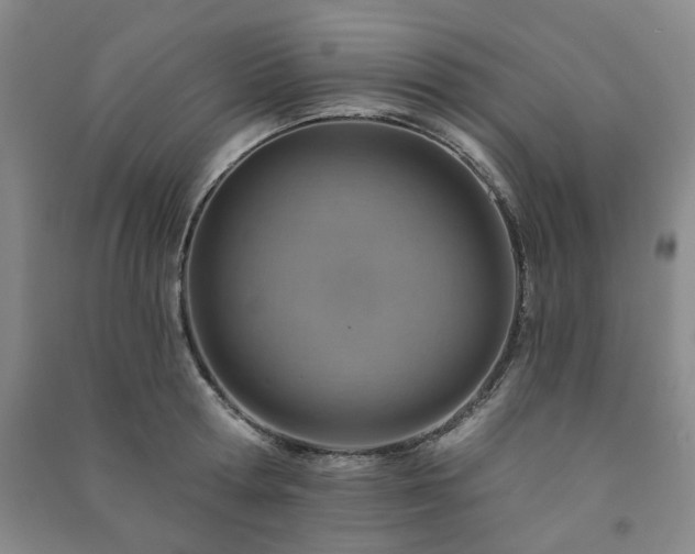 X0000091230802200708161715