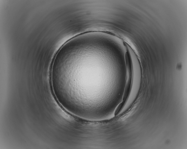 X0000091230803200708161715