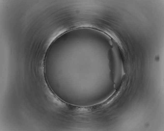 X0000091230806200708161715