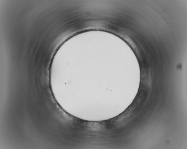 X0000091230807200708161715