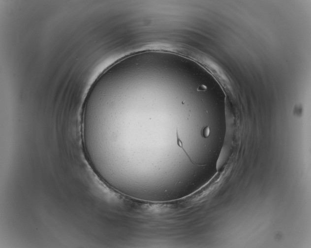 X0000091230808200708161715