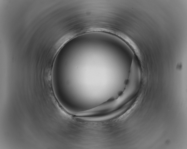 X0000091230809200708161715