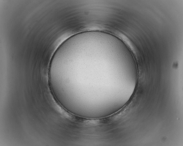X0000091230810200708161715