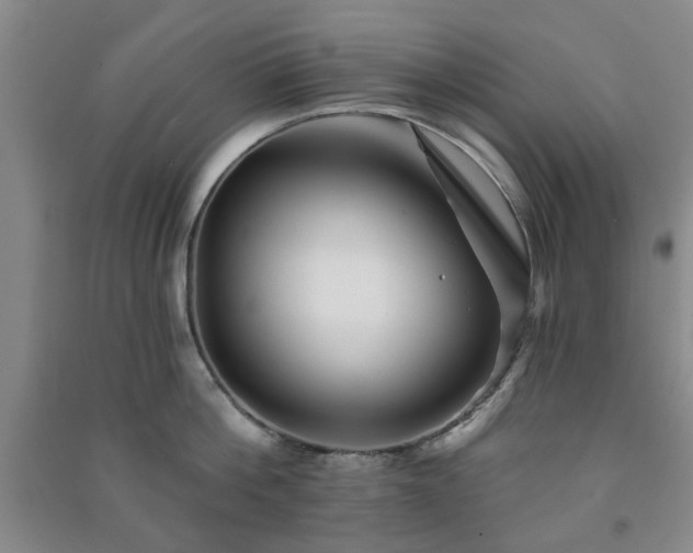 X0000091230812200708161715