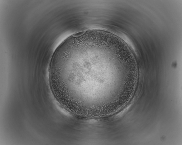 X0000091230814200708161715