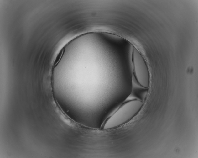 X0000091230816200708161715
