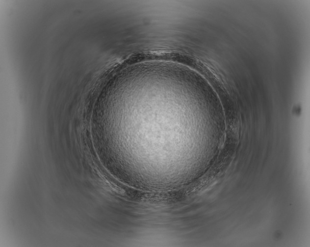 X0000091230817200708161715