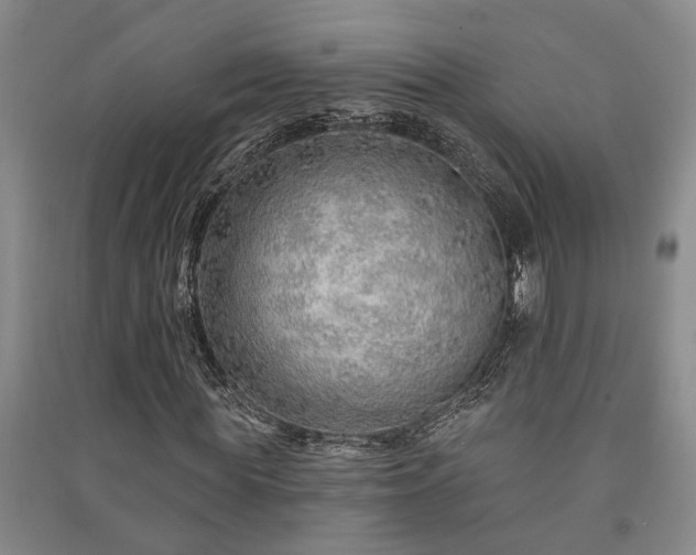 X0000091230819200708161715
