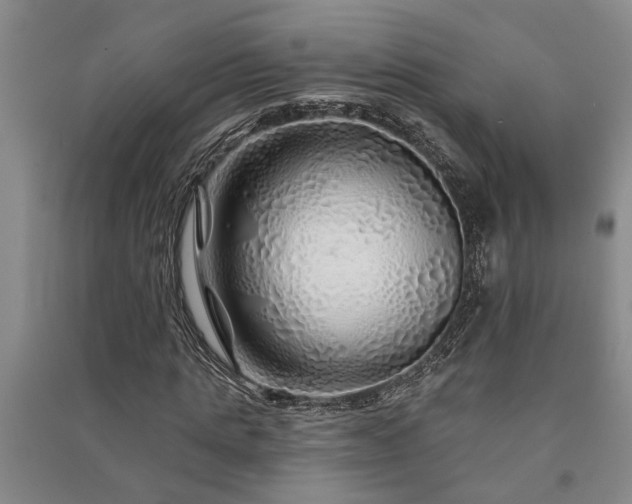 X0000091230821200708161715