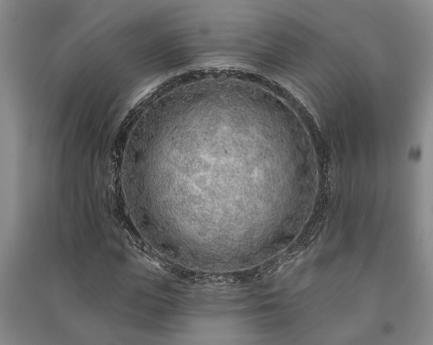 X0000091230823200708161715