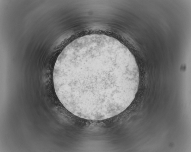 X0000091230824200708161715