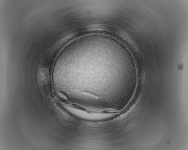 X0000091230825200708161715