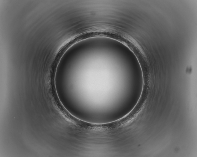 X0000091230826200708161715