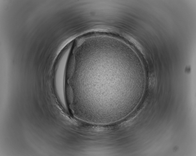 X0000091230829200708161715