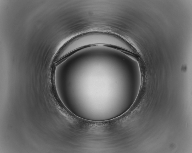 X0000091230830200708161715