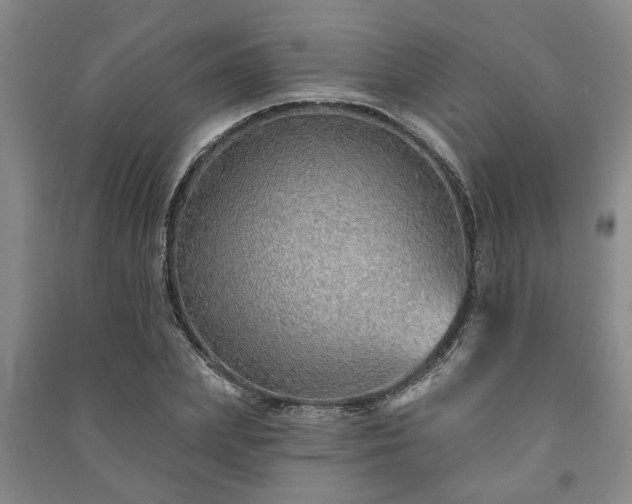 X0000091230831200708161715