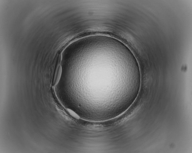 X0000091230833200708161715