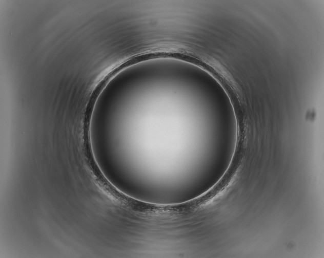 X0000091230834200708161715