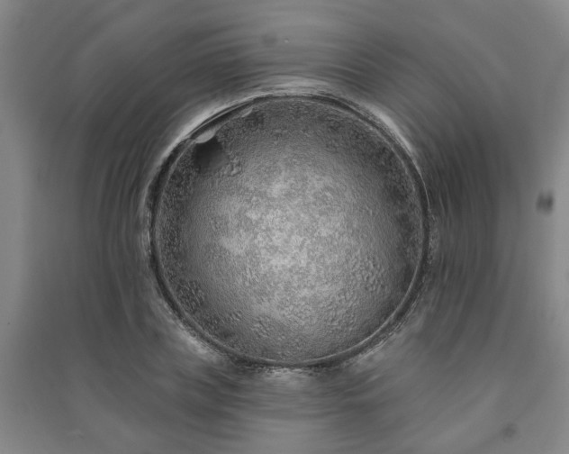 X0000091230835200708161715