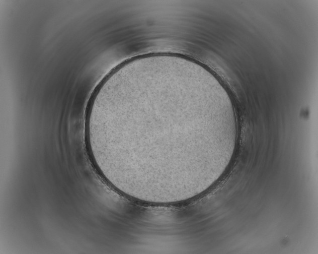X0000091230836200708161715