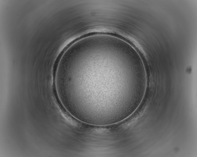 X0000091230837200708161715